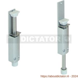 Dictator deurvastzetter ZE-60 slag tot en met 60 mm zilver - D10100124 - afbeelding 1